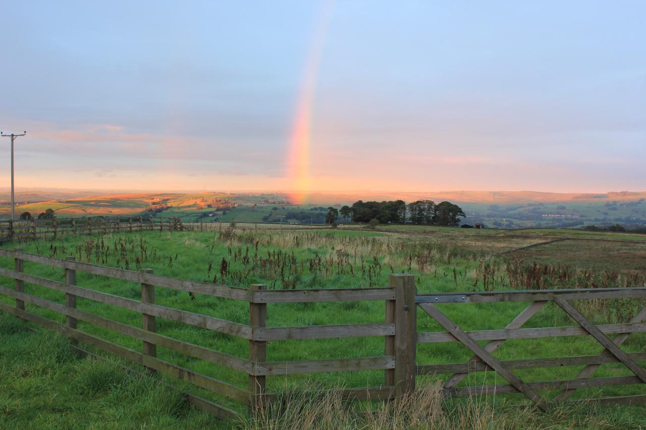 High Keenley Fell Farm Allendale Exteriör bild