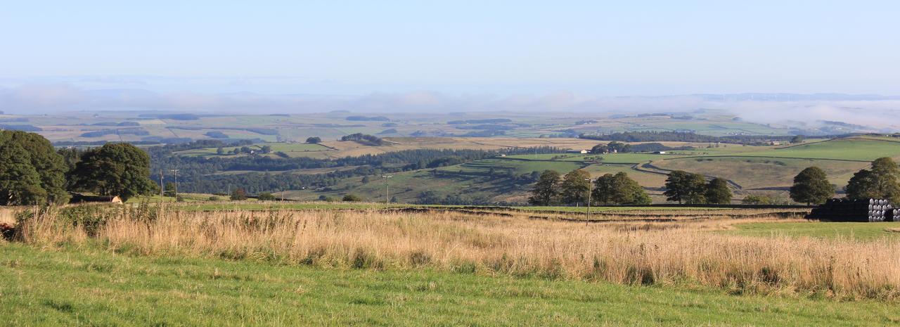 High Keenley Fell Farm Allendale Exteriör bild